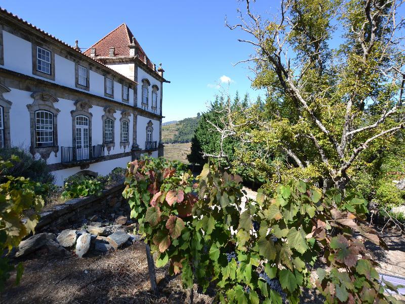 Casa Das Torres De Oliveira Bed and Breakfast Mesão Frio Exteriör bild