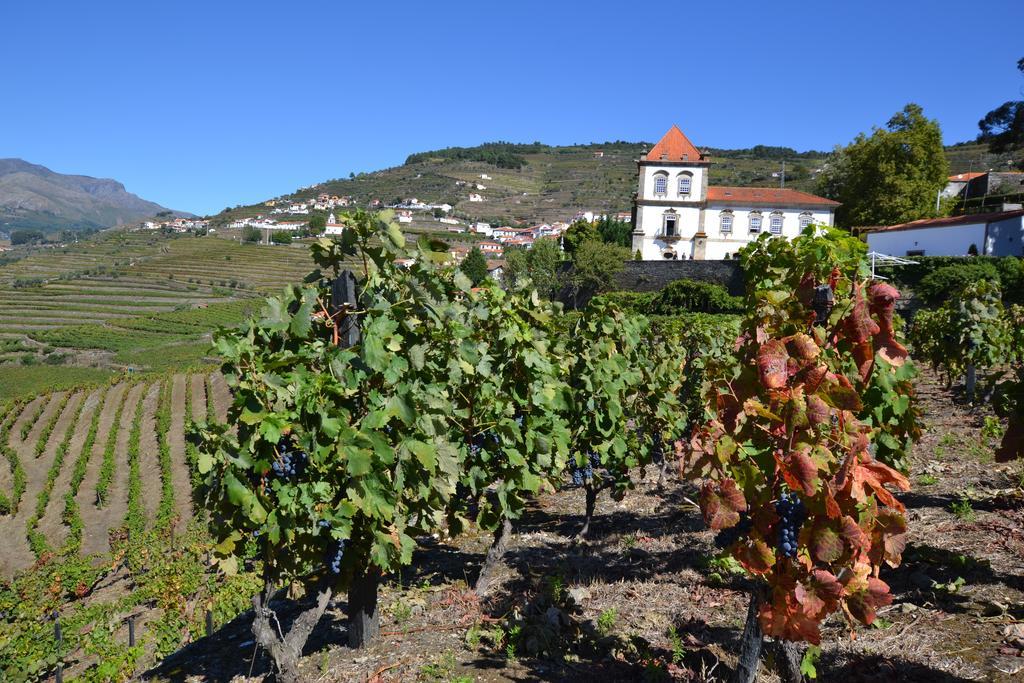 Casa Das Torres De Oliveira Bed and Breakfast Mesão Frio Exteriör bild