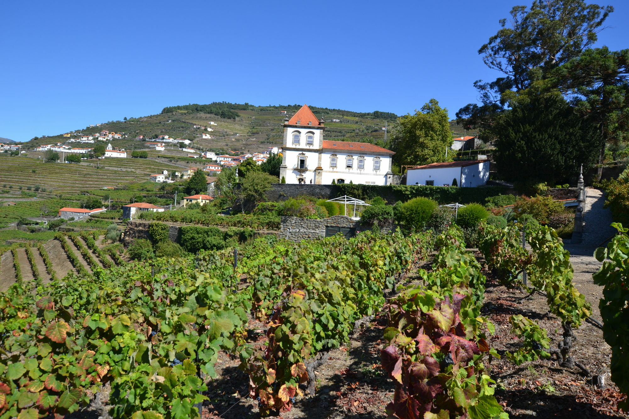 Casa Das Torres De Oliveira Bed and Breakfast Mesão Frio Exteriör bild