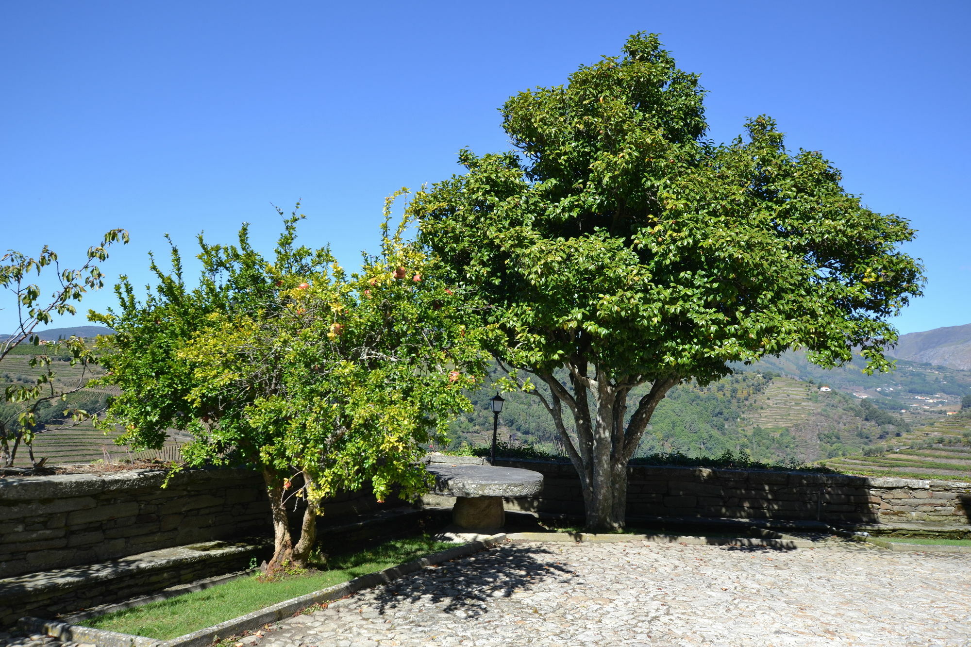 Casa Das Torres De Oliveira Bed and Breakfast Mesão Frio Exteriör bild