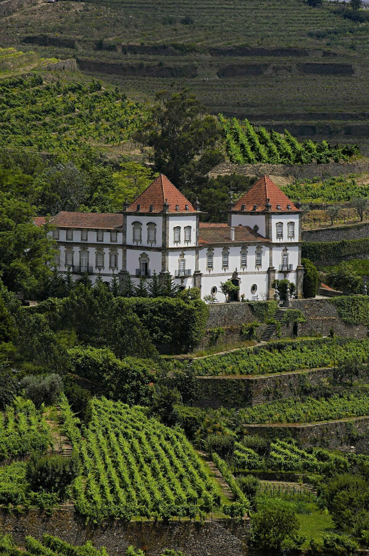 Casa Das Torres De Oliveira Bed and Breakfast Mesão Frio Exteriör bild